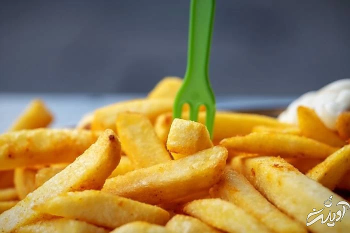 اولین سیب زمینی سرخ کرده روز سیب زمینی